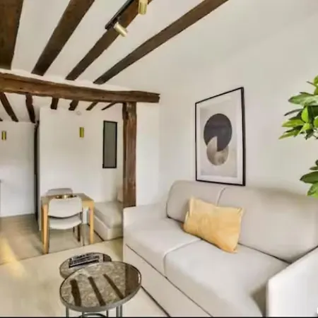 Coeur Du Marais - Place Des Vosges - Cathedrale Notre-dame De - Musee Du Louvre - 1 Bath - High - Speed Wifi - Free Parking - Baby Crib - Air Conditioning - Washing Machine - Pet Friendly - Lively Area - Paris, France * Paris
